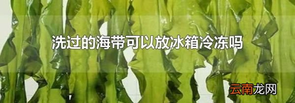 洗过的海带可以放冰箱冷冻吗