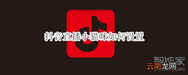 抖音直播小猫咪如何设置