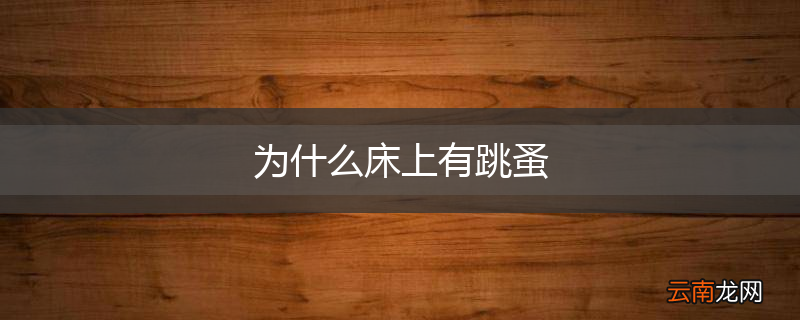 为什么床上有跳蚤