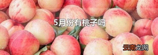 5月份有桃子吗
