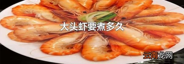 大头虾要煮多久