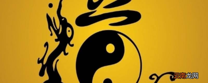 表文宝号是什么