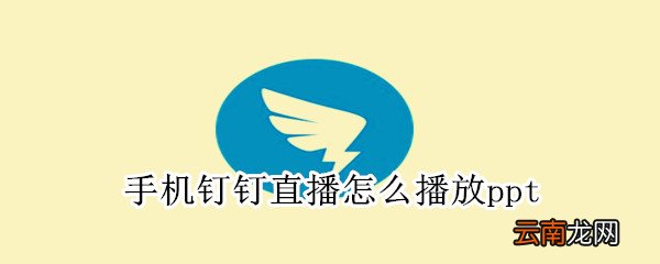 手机钉钉直播怎么播放ppt
