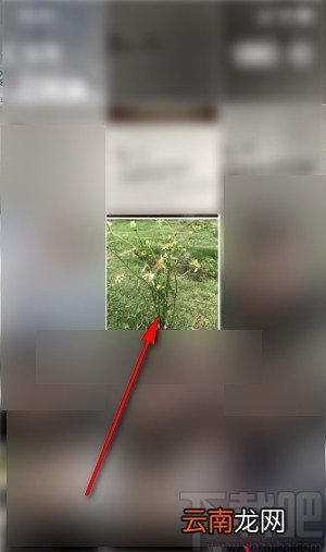 iPhone取消隐藏照片的操作方法