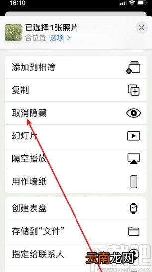 iPhone取消隐藏照片的操作方法