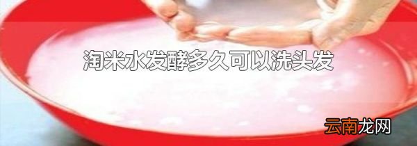 淘米水发酵多久可以洗头发