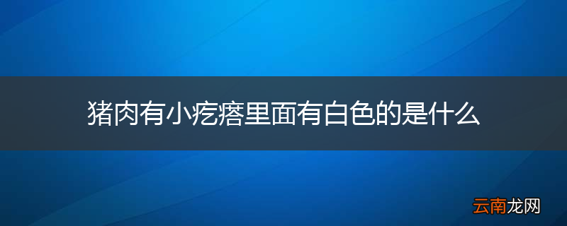 猪肉有小疙瘩里面有白色的是什么