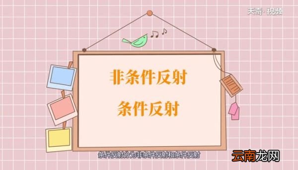 条件反射分为哪两种条件反射是怎么分的