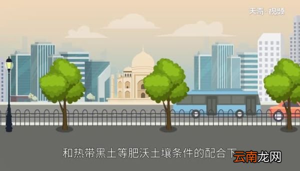印度的地势特点印度的地势有什么特点