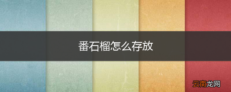 番石榴怎么存放