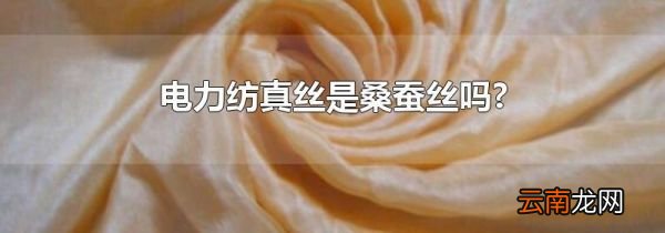 电力纺真丝是桑蚕丝吗?