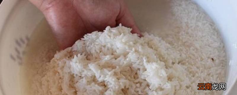 糙米泡过的水还要吗