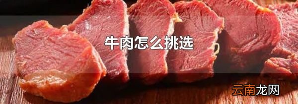 牛肉怎么挑选