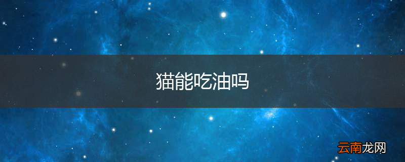 猫能吃油吗