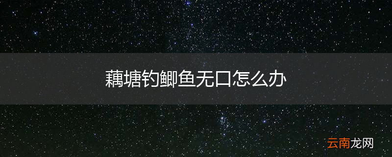 藕塘钓鲫鱼无口怎么办