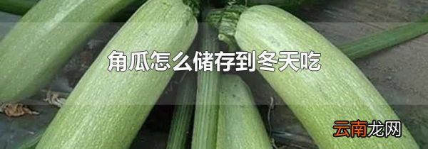 角瓜怎么储存到冬天吃
