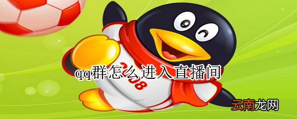 qq群怎么进入直播间