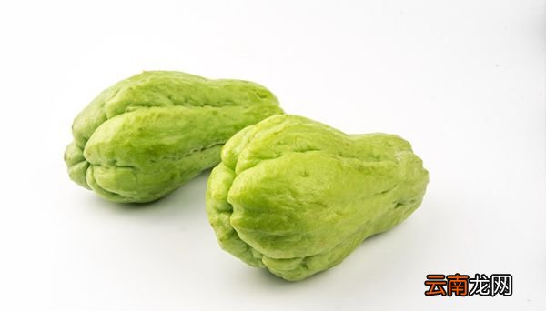 佛手瓜和什么食物相克 佛手瓜与什么食物相克