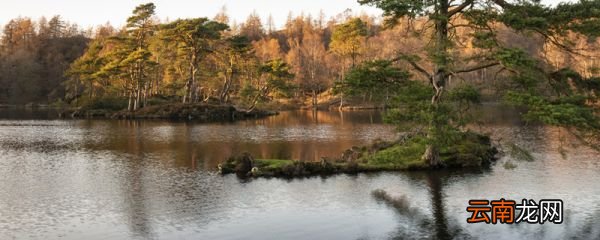 太湖水质污染的根本原因是什么 太湖污染严重的原因