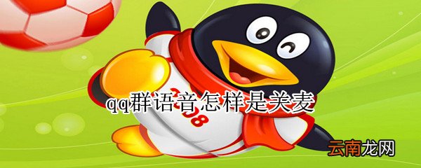 qq群语音怎样是关麦