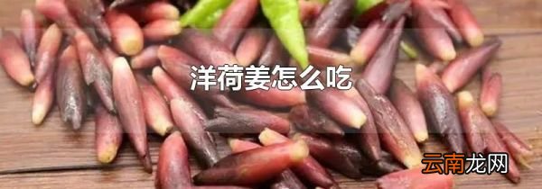 洋荷姜怎么吃