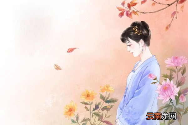 如梦令拼音版古诗如梦令翻译李清照