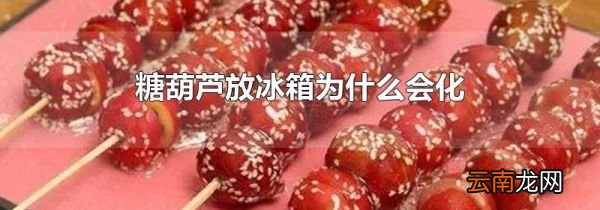 糖葫芦放冰箱为什么会化