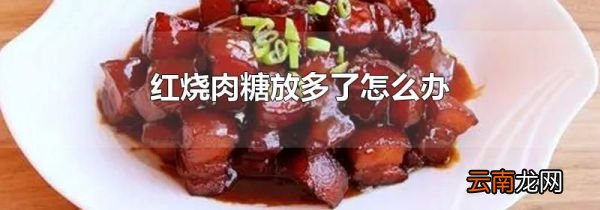 红烧肉糖放多了怎么办