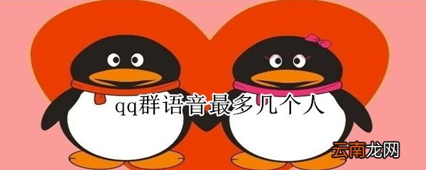 qq群语音最多几个人