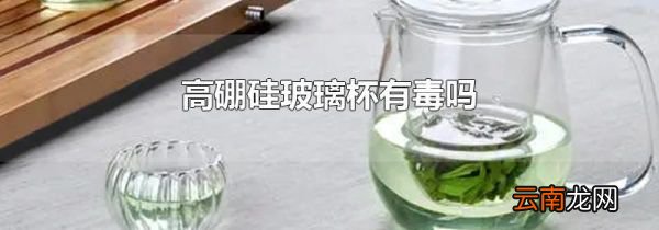 高硼硅玻璃杯有毒吗