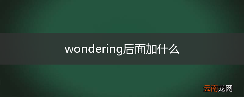 wondering后面加什么