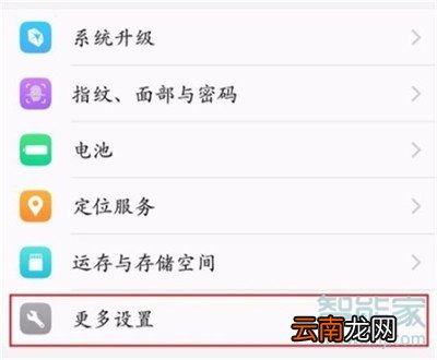 vivo NEX 3s怎么打开开发者选项