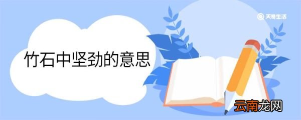 竹石中坚劲的意思 竹石中坚劲什么意思