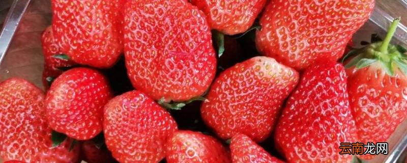 24个草莓大概几斤
