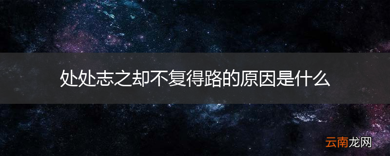 处处志之却不复得路的原因是什么