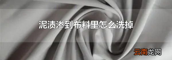泥渍渗到布料里怎么洗掉