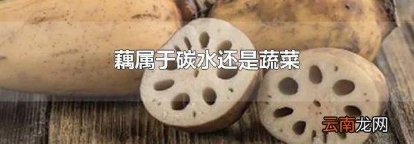 藕属于碳水还是蔬菜