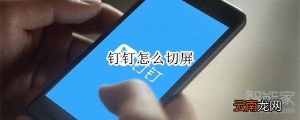 钉钉怎么切屏