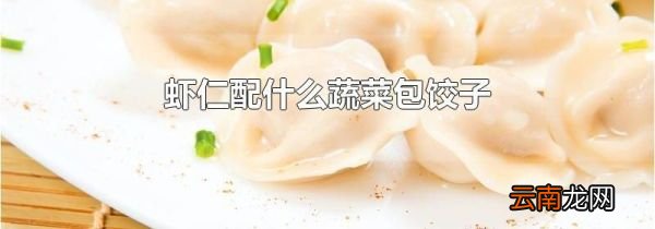虾仁配什么蔬菜包饺子