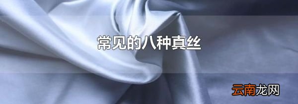 常见的八种真丝