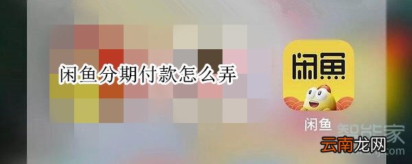 闲鱼分期付款怎么弄