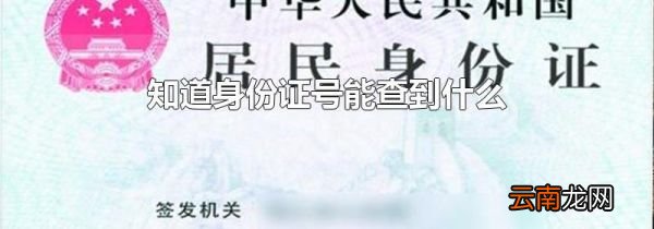 知道身份证号能查到什么