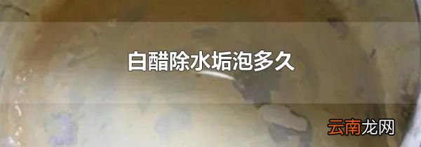 白醋除水垢泡多久