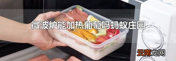 微波炉能加热葡萄吗蚂蚁庄园