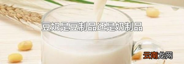豆奶是豆制品还是奶制品