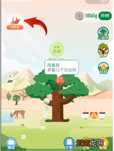 支付宝树怎么变成气球