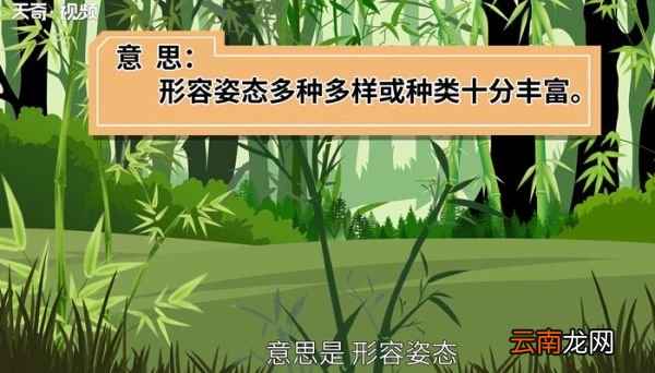 千姿百态的意思 什么是千姿百态