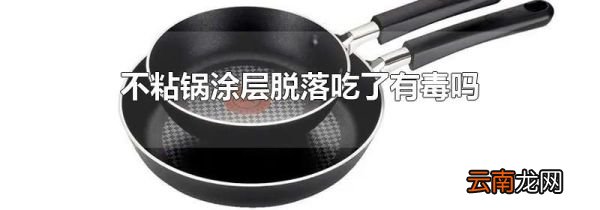 不粘锅涂层脱落吃了有毒吗