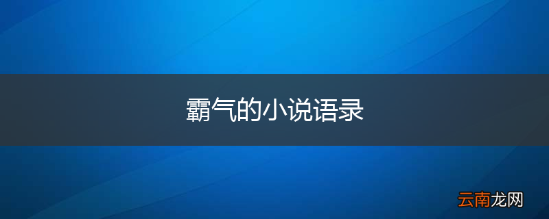霸气的小说语录