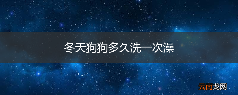 冬天狗狗多久洗一次澡
